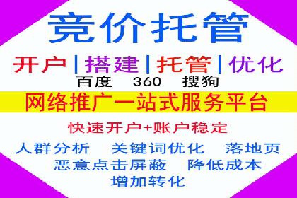 SEM运营推广策略：成功案例解析